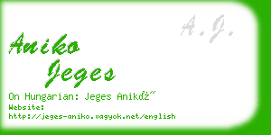 aniko jeges business card